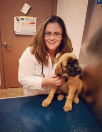 Stephanie Herr, V.M.D.