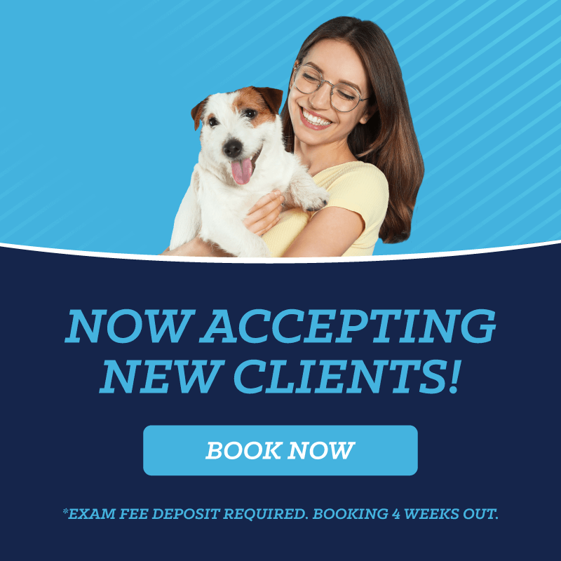 Now Accepting New Clients! 